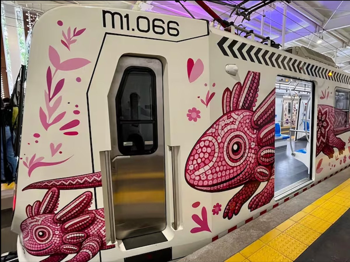 Témoris Grecko tweet media