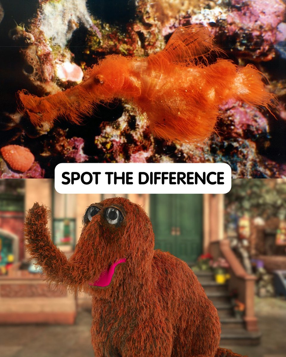 Sesame Street tweet media