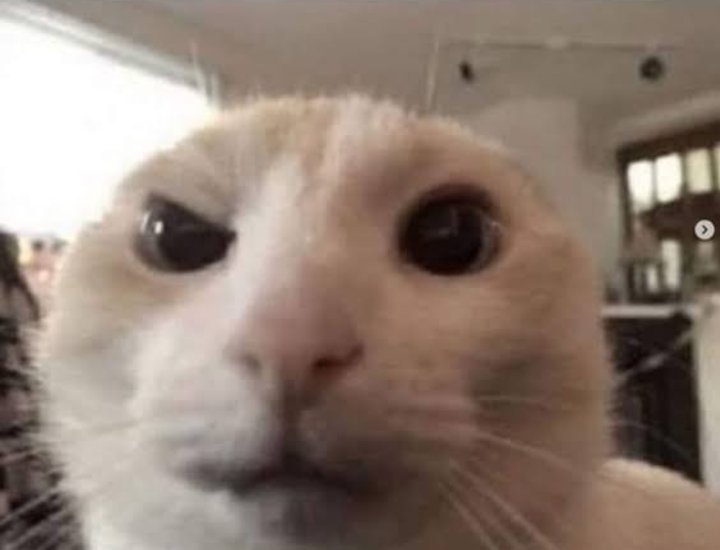 𝕋ℝ𝕌ℕ𝕂𝕊 tweet media