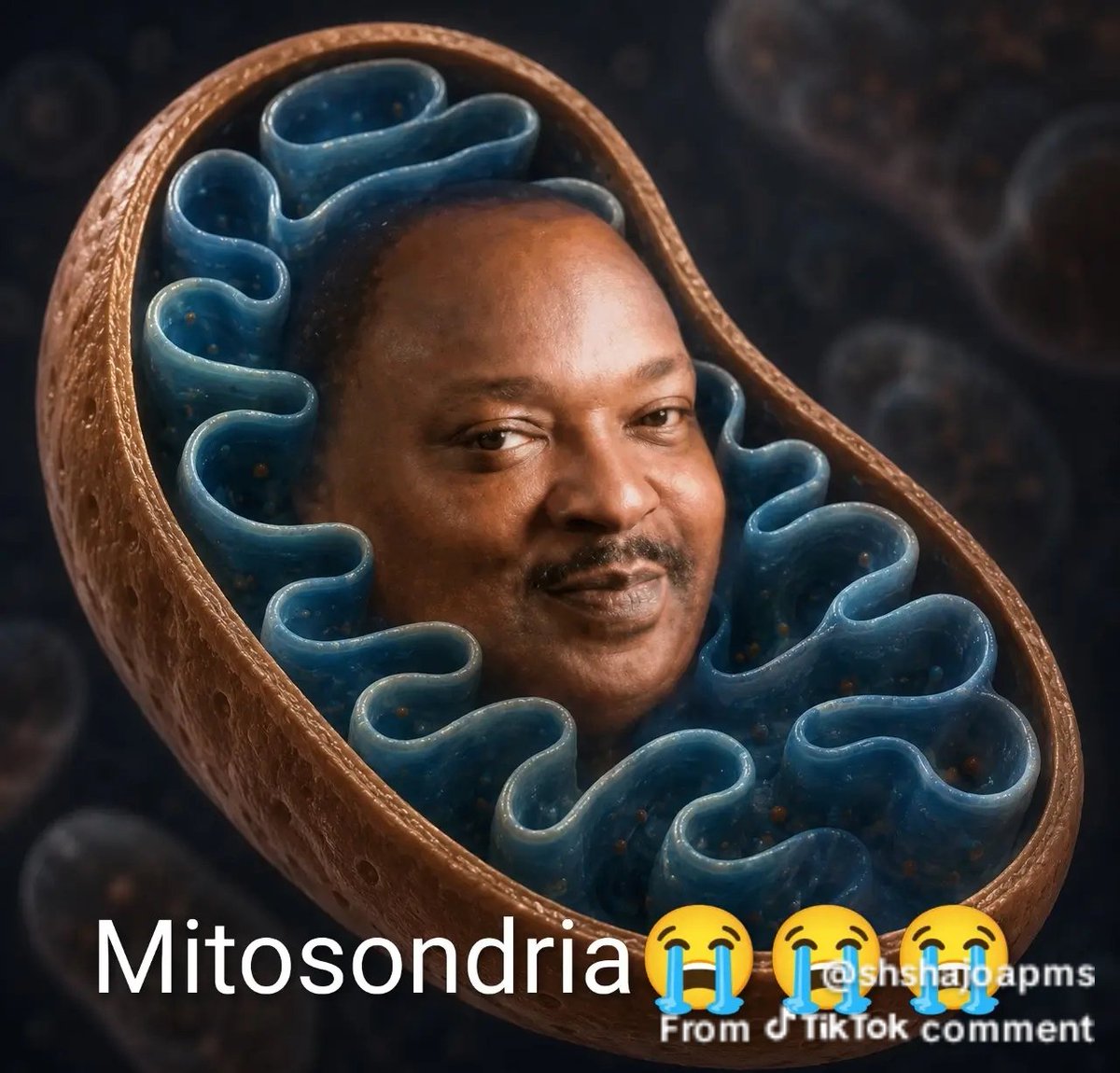mhlera Kidd tweet media