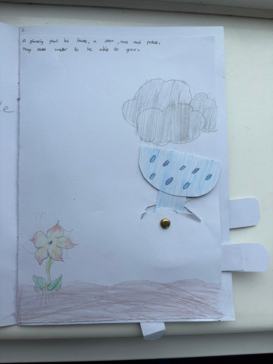thriplowschool's tweet photo. Bees Class enjoyed making pop-up books today in D.T.  They used different mechanical systems to put their book together. @PKCKST https://t.co/vbQKVAqNF8