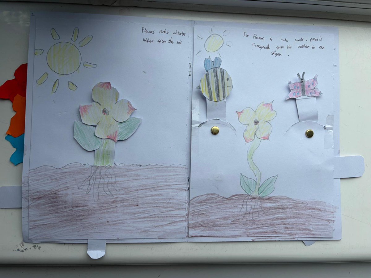 thriplowschool's tweet photo. Bees Class enjoyed making pop-up books today in D.T.  They used different mechanical systems to put their book together. @PKCKST https://t.co/vbQKVAqNF8