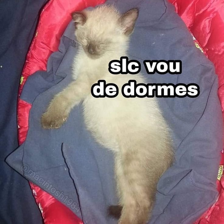 Meu silêncio é caridade 🥑 tweet media