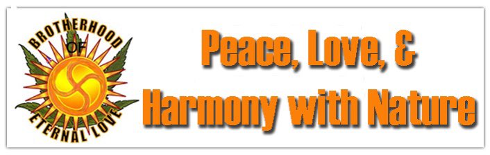 ackerly_robert's tweet photo. Make Love Not War. Food Not Bombs. Make Music Laugh and Sing. Drop Acid Not Bombs. What the hell are the world leaders thinking. https://t.co/tHLIT9roCj