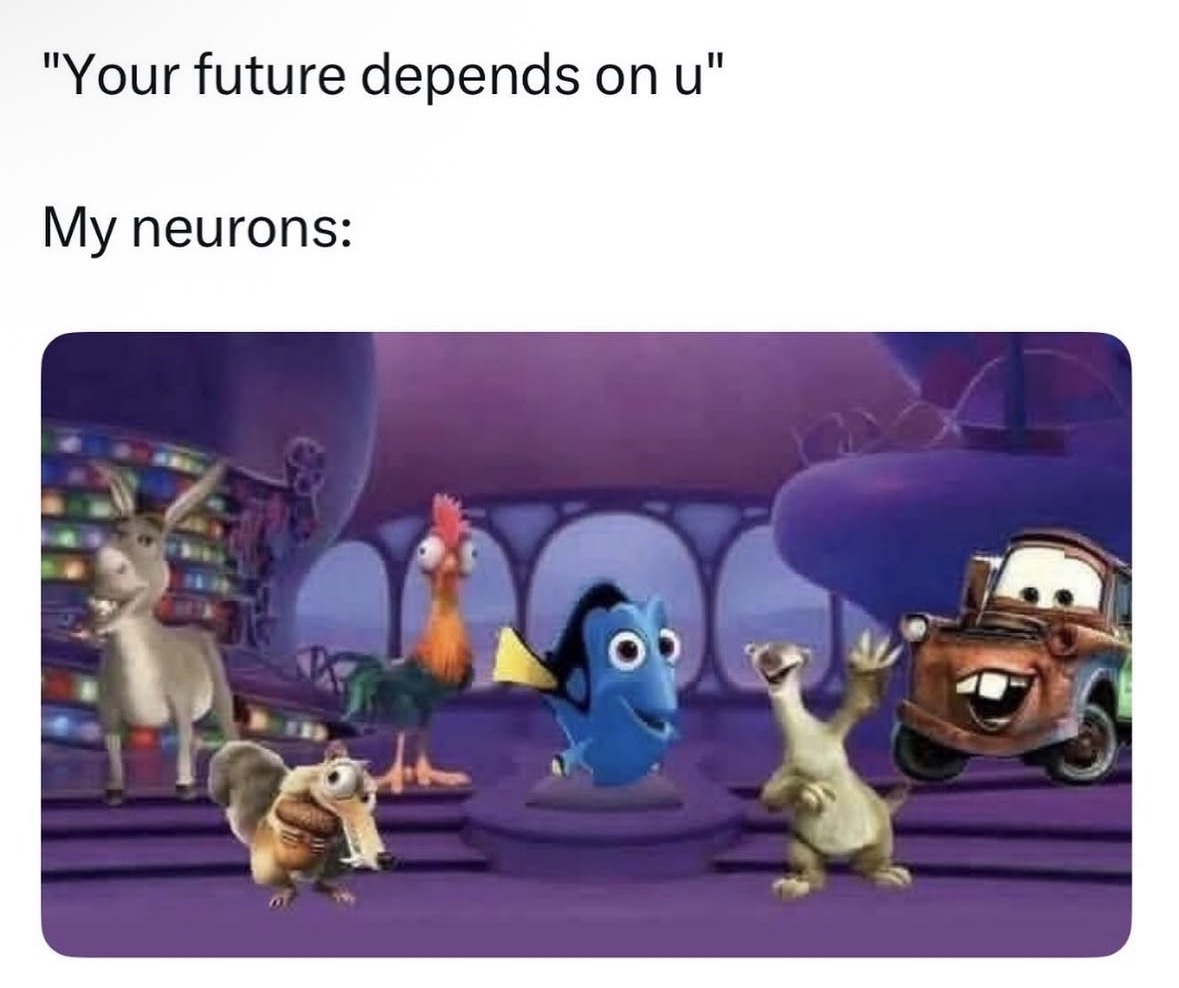 Respectful Memes tweet media