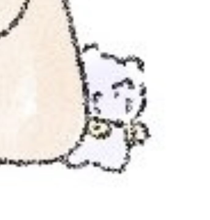 𝗞𝘂𝗺𝗮 。。 tweet media