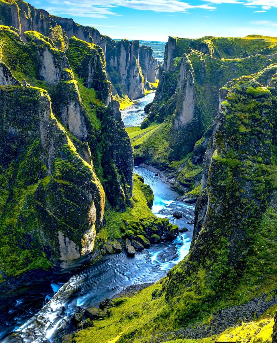Wondrous Nature tweet media