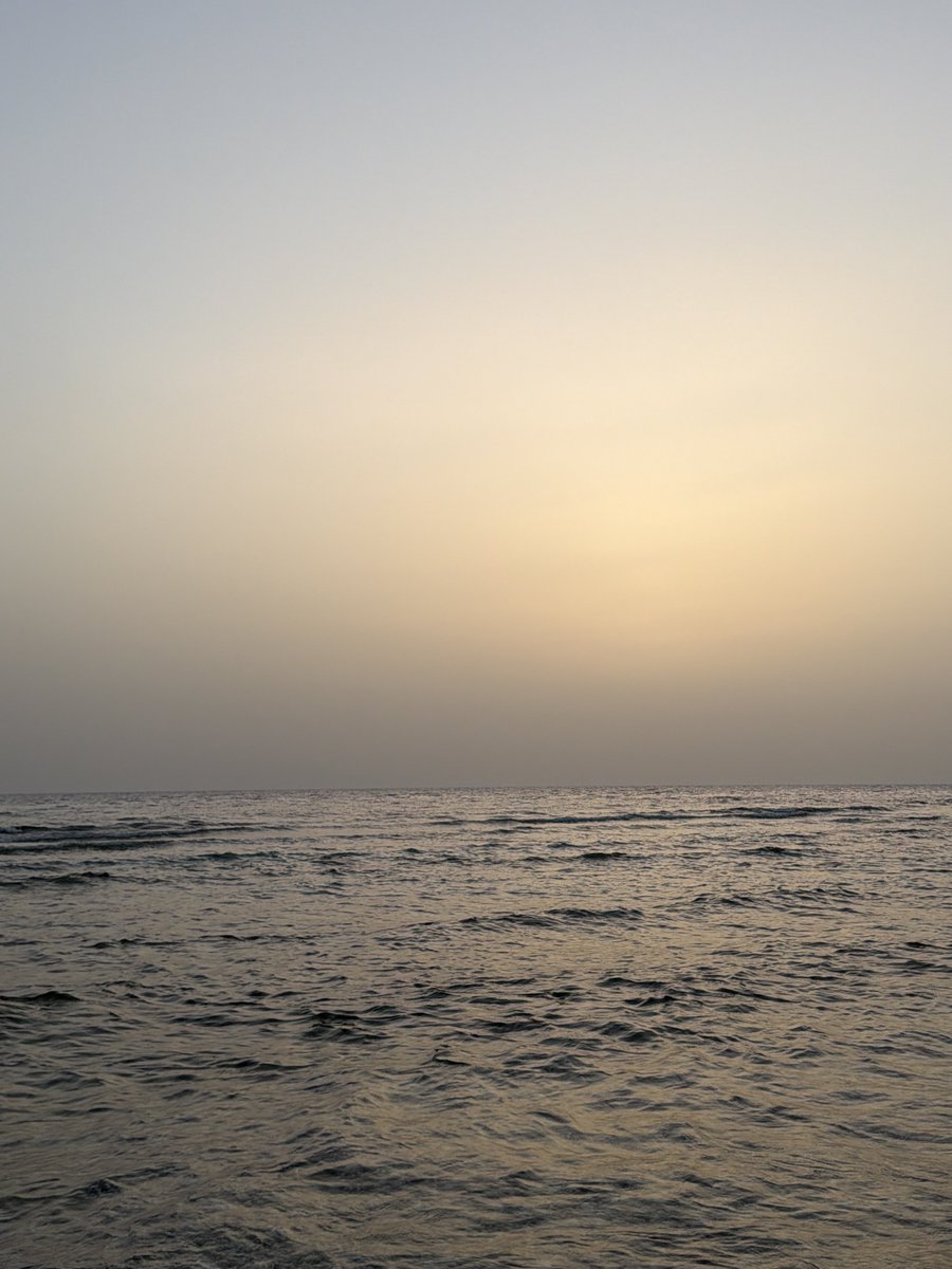 ِ tweet media