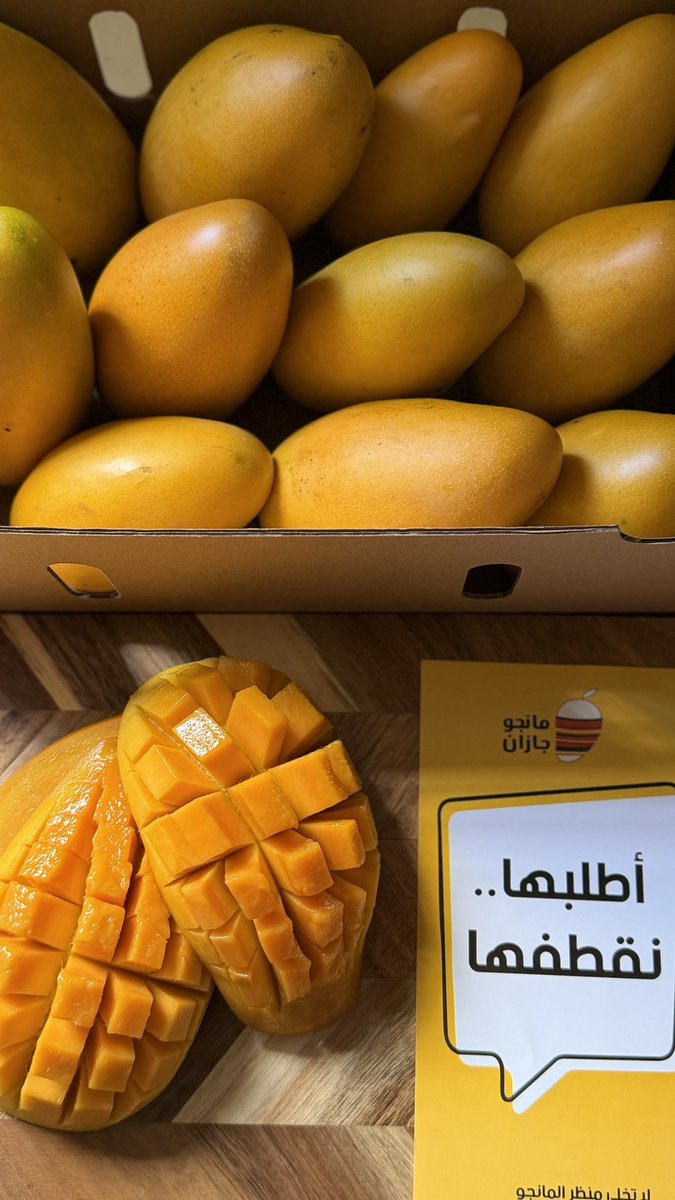 مانجو جازان tweet media