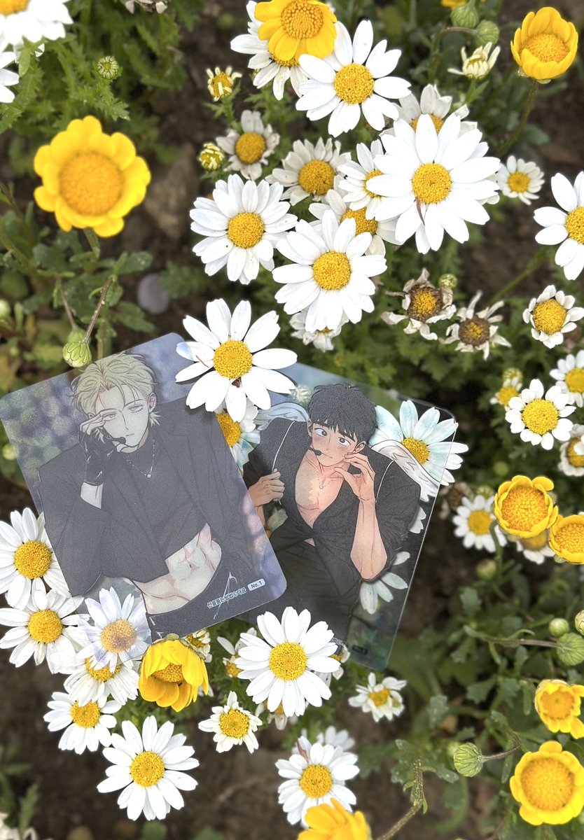 hichwe2's tweet photo. HBD 감자🥔🩷

@dagom_ 
#0520_HAPPY_TAESUN_DAY
#봄을_닮은_빛나는_태선
#일등감자_진태선_생일축하해
#사랑하는내반려_태선아축하해🐍
#신을품는방법 #신품법 https://t.co/3KR4yT4dqY