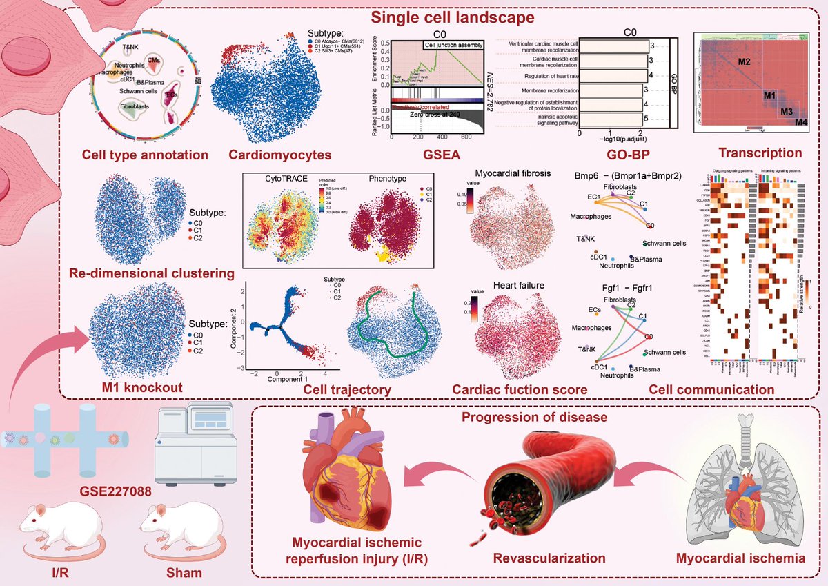 BIOIntegration tweet media