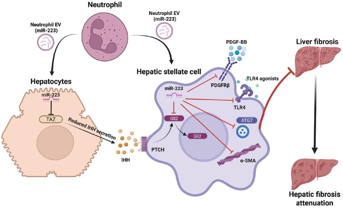 BIOIntegration tweet media