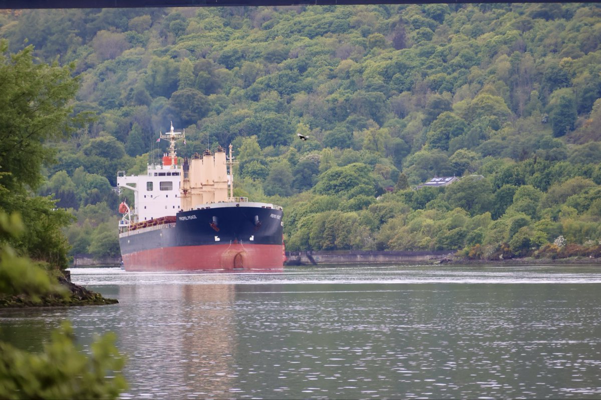 girvan76's tweet photo. Bulk carrier Propel Peace making her way up,the Clyde to KGV Docks 

#ship #propelpeace #bulkcarrier #scotland #shipspotter #riverclyde https://t.co/jRNQP165VF