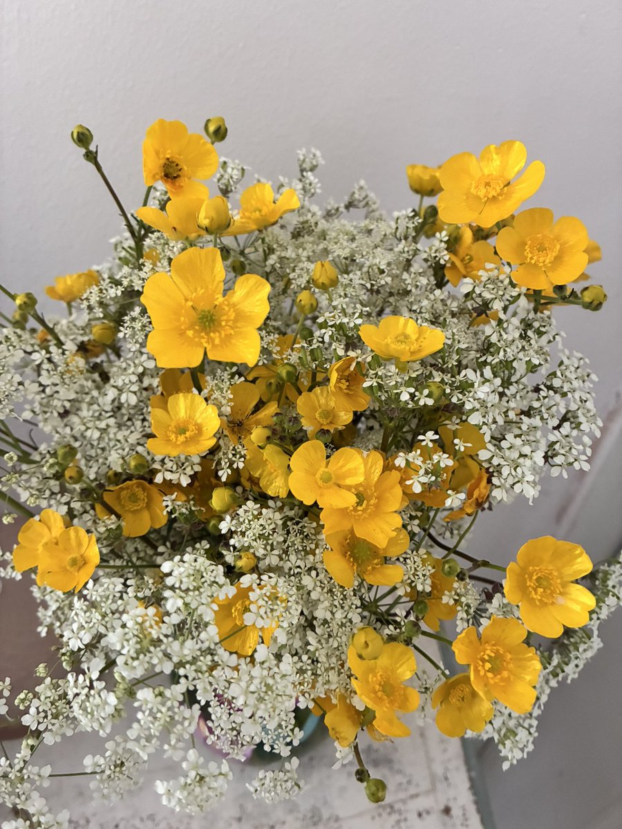 LoveLippy's tweet photo. Natures flowers. #buttercups #cowparsley https://t.co/2RQfDEyjyl