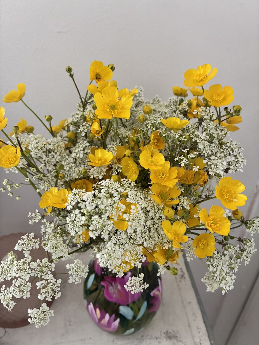 LoveLippy's tweet photo. Natures flowers. #buttercups #cowparsley https://t.co/2RQfDEyjyl