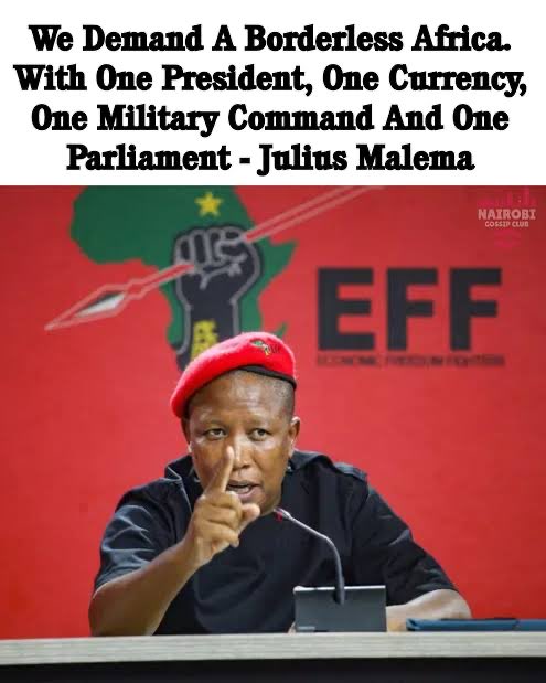 Absolute_Kganki's tweet photo. This man is saying we must ask ourselves why Julius Malema is speaking on behalf of foreigners, unless he has a hand in the bad things they are doing. 🤣🔥🚩 https://t.co/RU8MvxDt0G