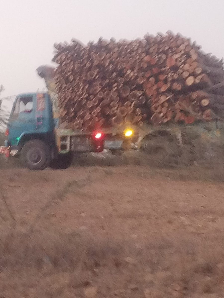 BalochHafeez201's tweet photo. This is not just a truck carrying timber.
It is a dead forest being transported in broad daylight from inside Kirthar National Park  one of Sindh’s last surviving ecological lifelines.
For more than a decade, Kirthar’s forests...1/5
#SaveKirthar #StopDeforestation https://t.co/bwZsnqqd3z