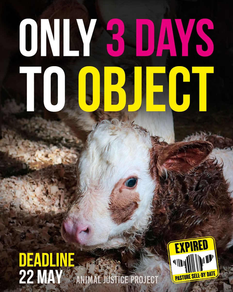 AnimalJusticeProject tweet media