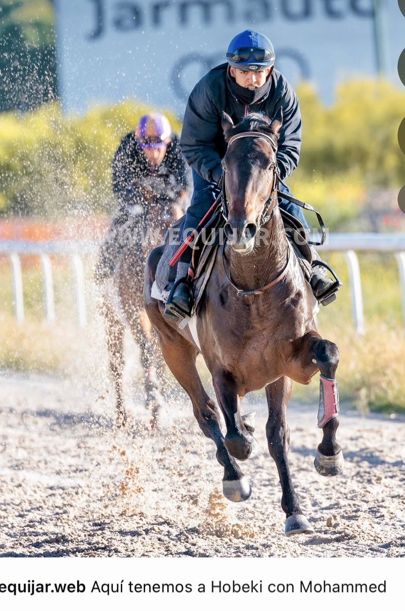 Ferdemente 🏇💚⚽️ tweet media