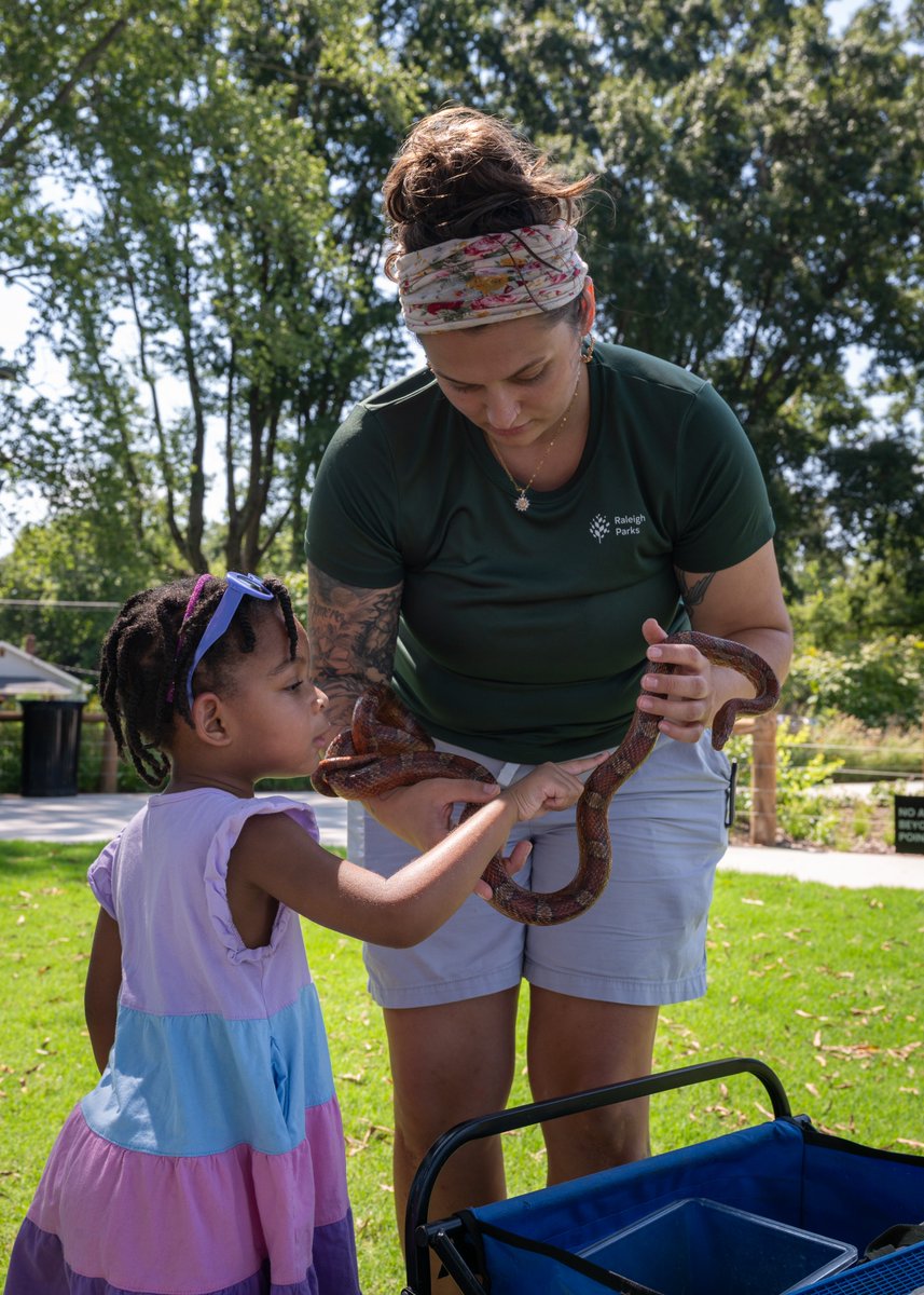 DixPark's tweet photo. There's so much to do at Dix Park this Summer! 🌻 Our Summer Program guide is live and we've got some brand new programs you're going to love plus all your favorites.

Check out all of our events at https://t.co/y3sTNkofUJ https://t.co/wfkDMbrL88