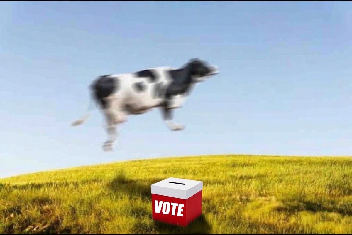 @Vote tweet media