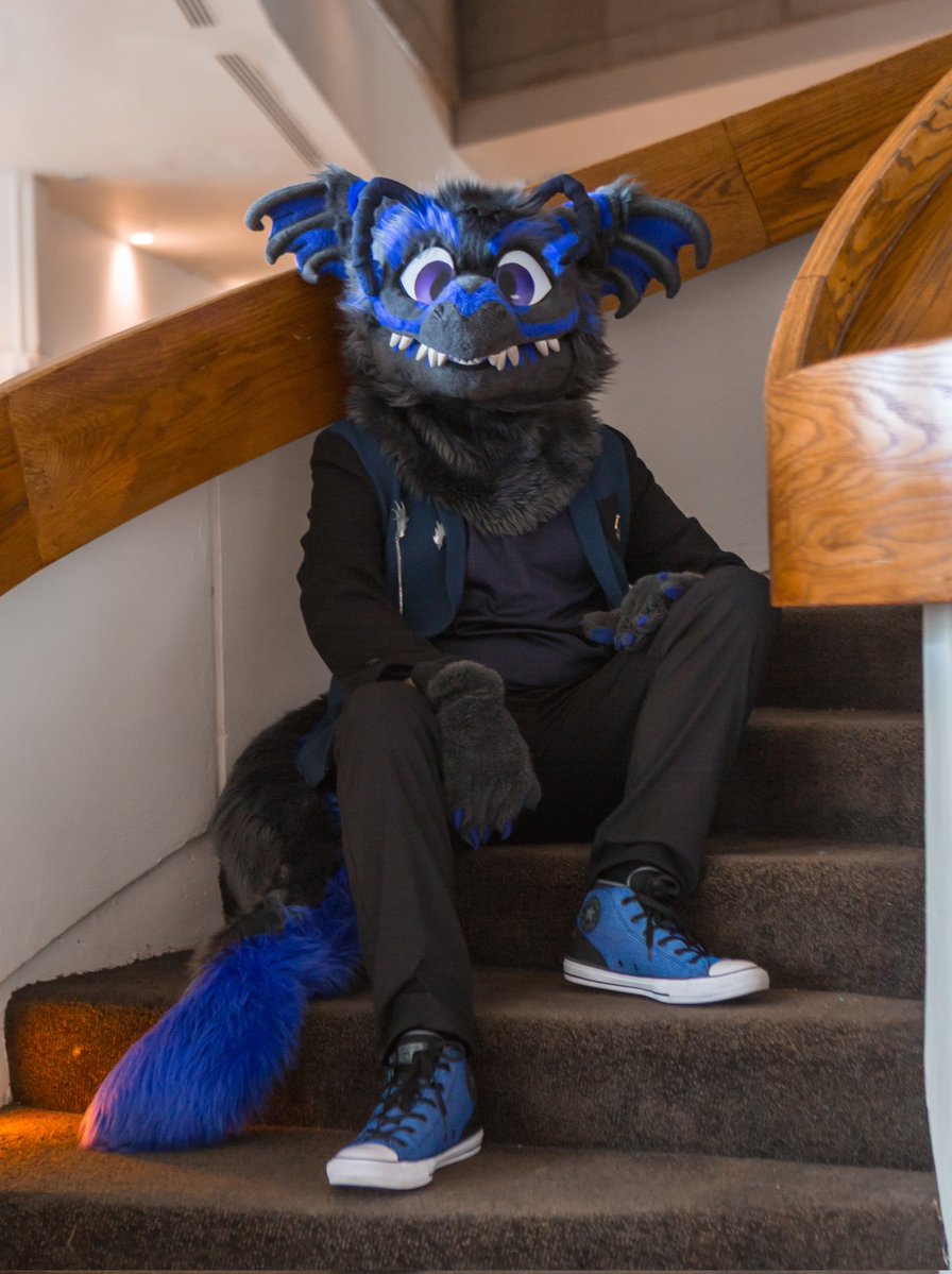 SebbySpresso, The Feine Bean, NOT A NEWT 🔜CFZ tweet media