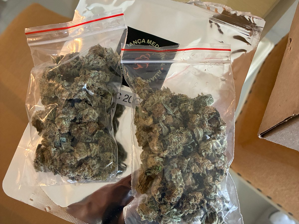 Dr. Sativa - Cannabis Medicinal tweet media