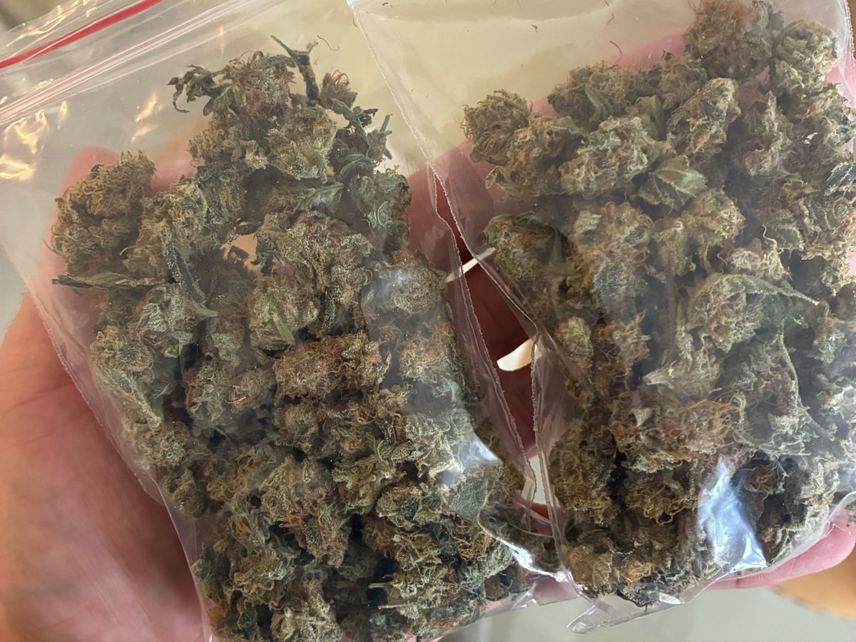 Dr. Sativa - Cannabis Medicinal tweet media