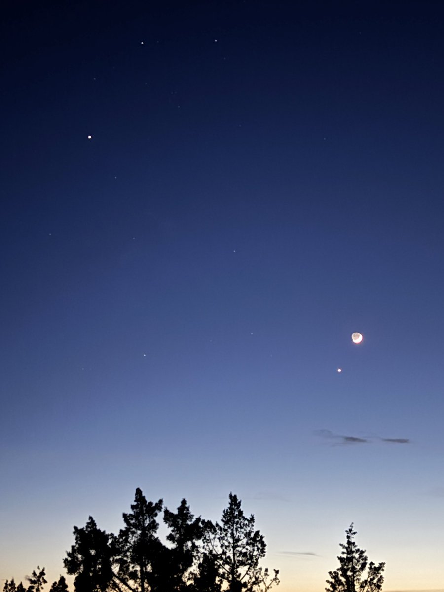 Curiosity🌙Responsible tweet media