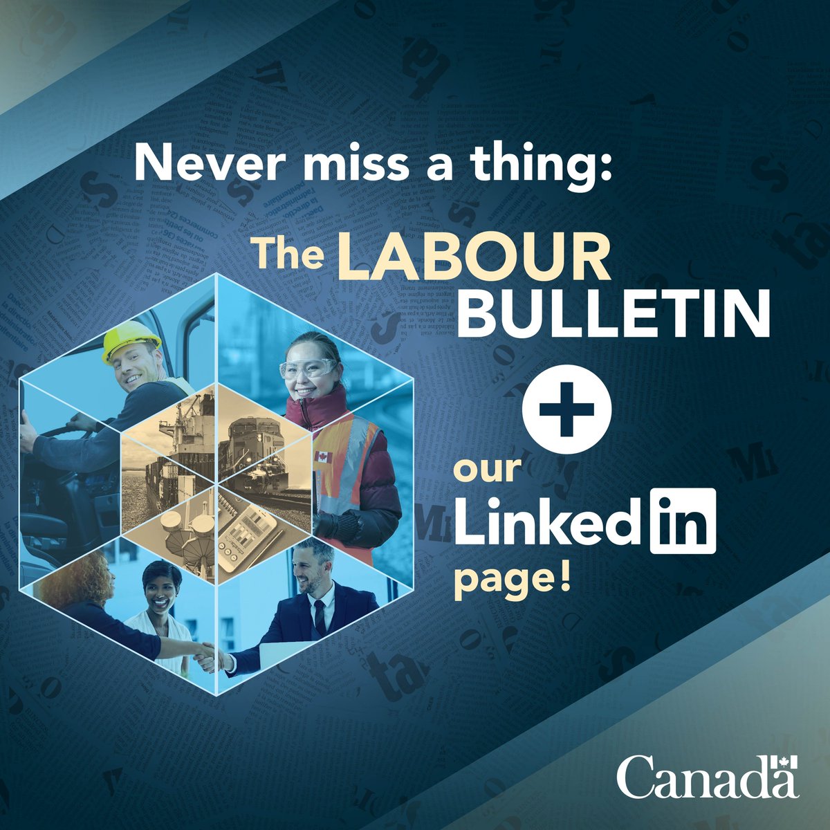 ESDC_GC's tweet photo. 📰 To catch up on labour news &amp; what we do for federally regulated workplaces:

➡️ Follow the Labour Program LinkedIn page https://t.co/f5x2toLANh; and

➡️ Check out The Labour Bulletin https://t.co/EfcJHUITKz https://t.co/pzGM8TpvDK