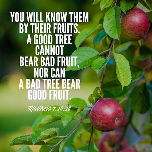 Denise❤️✝️📖 tweet media