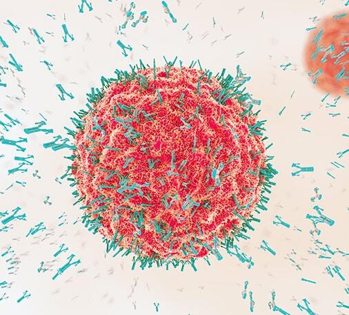 ProSciInc's tweet photo. Discover antibodies designed to support your research with consistency and confidence.
ProSci’s extensive catalog includes targets across oncology, neuroscience, immunology, infectious disease, stem cell research, and more.
#ResearchAntibodies #LifeScienceTools #Biotechnology #ProSci
Browse our catalog today. - https://t.co/OzT71XXWVe