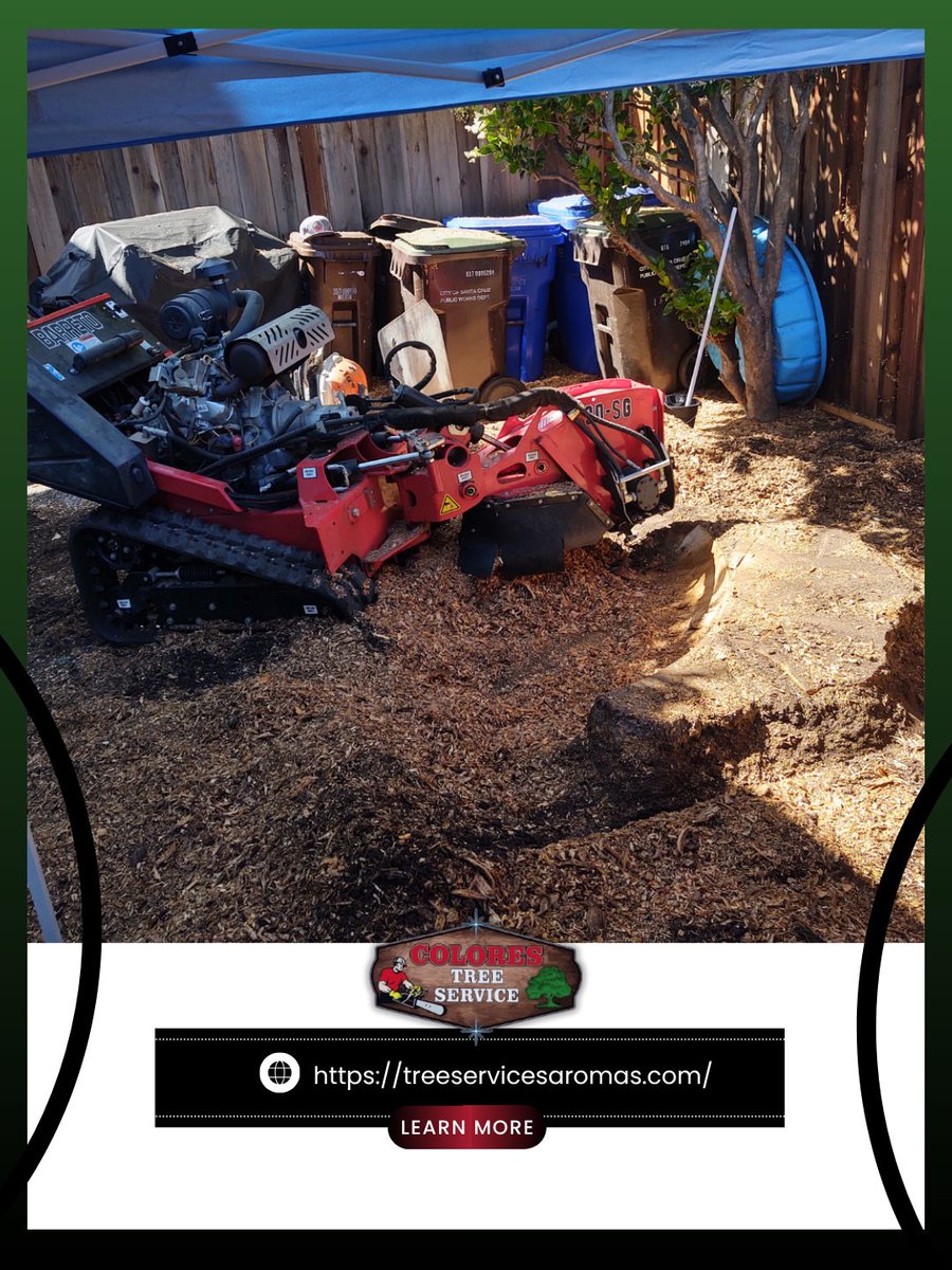 ColoresTree's tweet photo. Old stumps can ruin the look of your yard, so I offer efficient stump grinding to clear them out. I leave your space clean and ready for use. Schedule your service today to get started! #StumpGrinding #QualityWork #ExpertService
https://t.co/HO8MnbsB25 https://t.co/9wfJBRHlZe