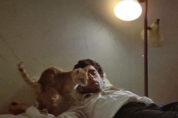clubredford's tweet photo. the long goodbye (1973) dir. robert altman https://t.co/AtlVDzjcur