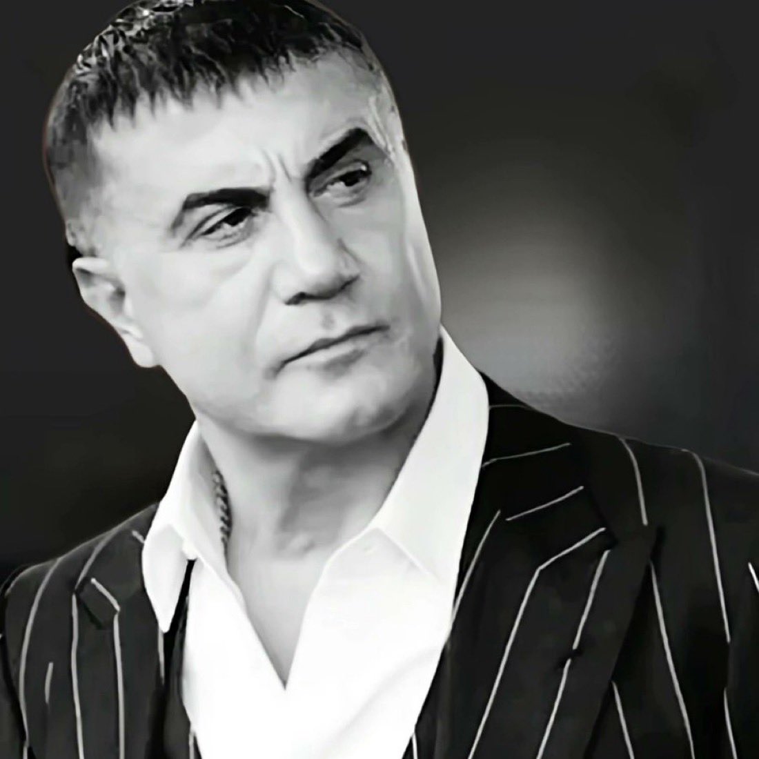 Hakan Damar (R.S.P) tweet media
