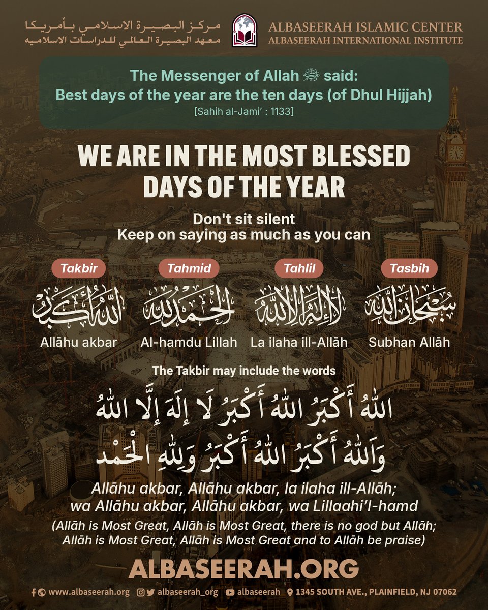 Albaseerah Org tweet media