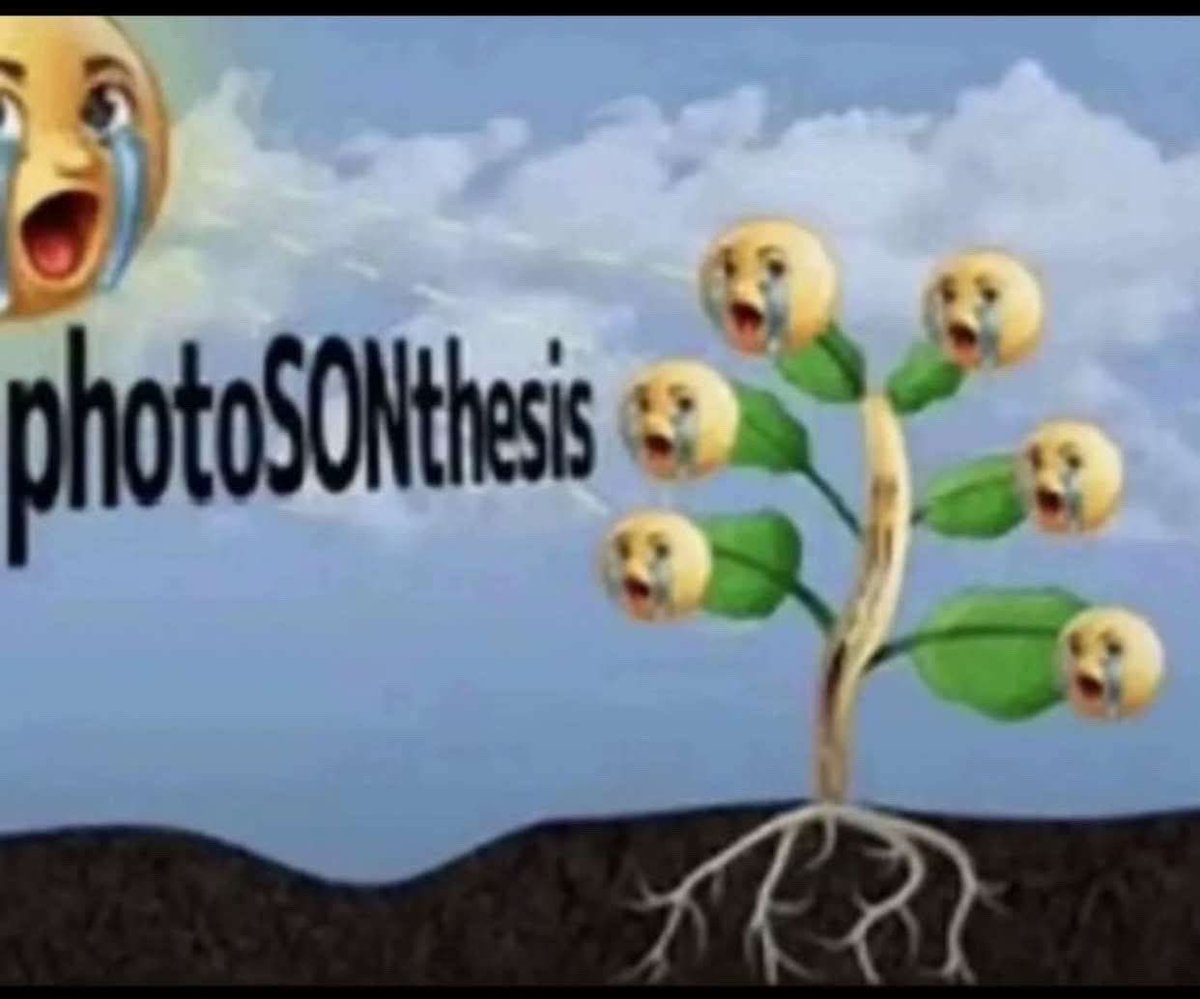 Rejjieee tweet media