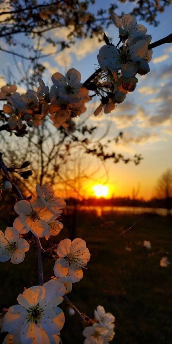 aleqan19's tweet photo. أسئلك ببحر رحمتك وشمس فضلك بأن تفعل بعبدك ما تحب وترضى، وعزتك المقدسة عن الذكر والثناء كل ما يظهر من عندك هو مقصود قلبي ومحبوب فؤادي

#الصلاة_الكبرى
#البهائية https://t.co/HDHBfHFUy0