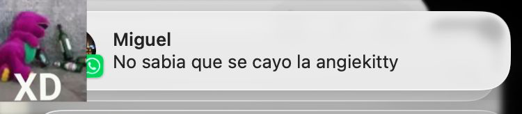 adriani3209P's tweet photo. JAAKJAKAJAJJAA AYUDA 

 #temblor https://t.co/mIZ2i5wA3j