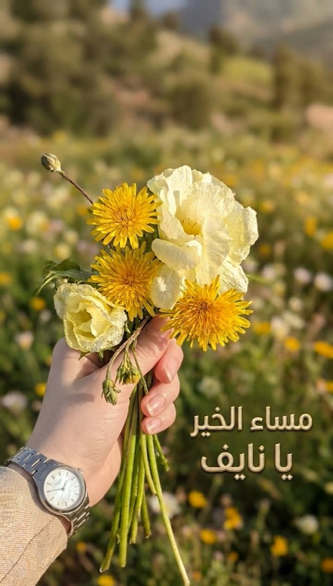 م/ مجد tweet media