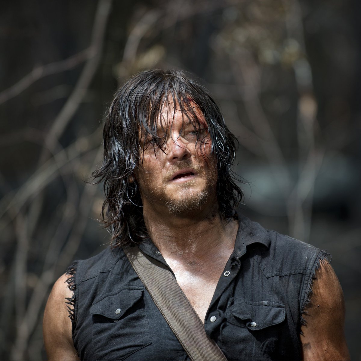 matheus met reedus tweet media