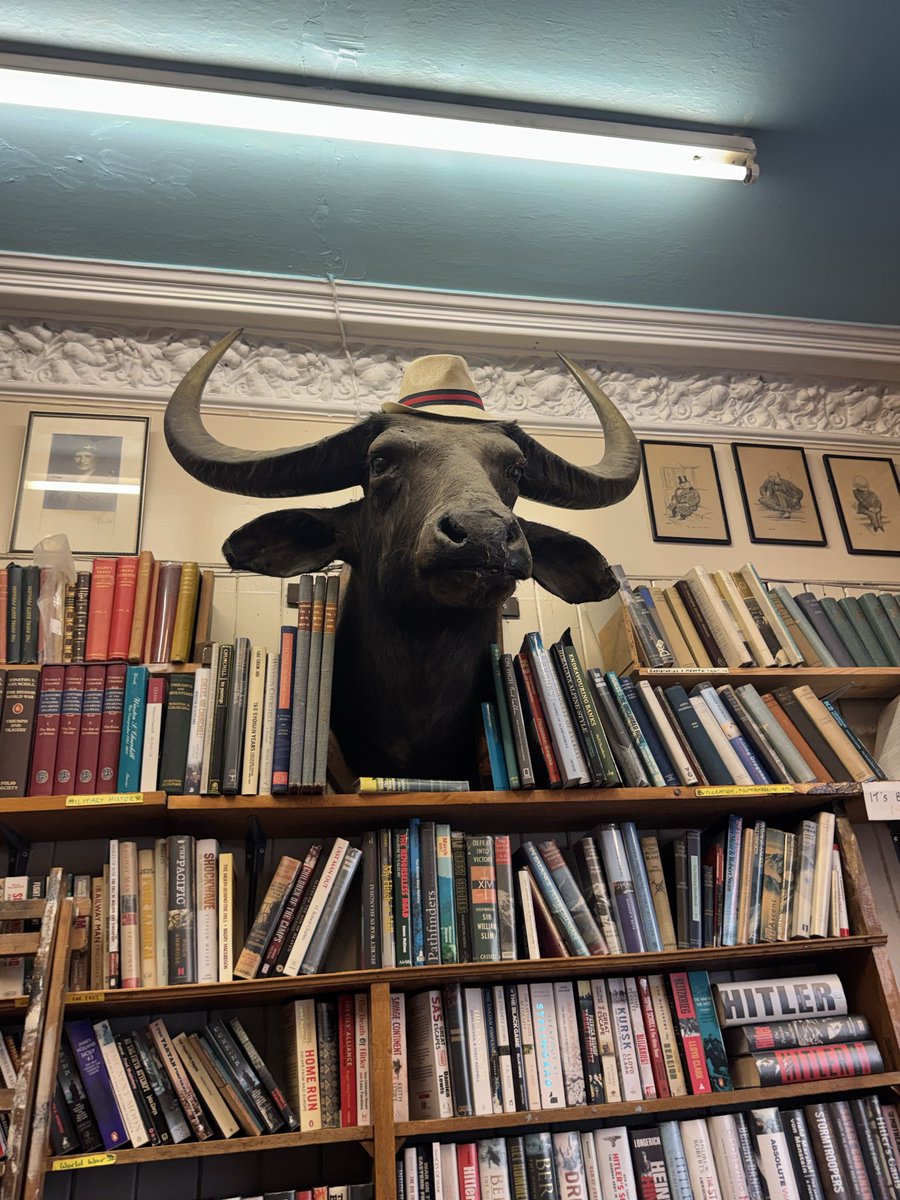 Agentbarcak7's tweet photo. Bullmask bosh, how you doin https://t.co/5XPZsZEcEp
