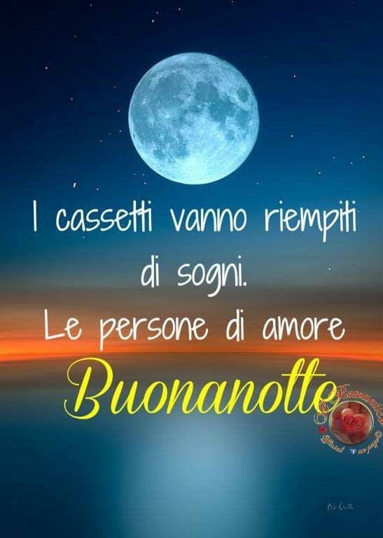 Nina Di Lascio tweet media