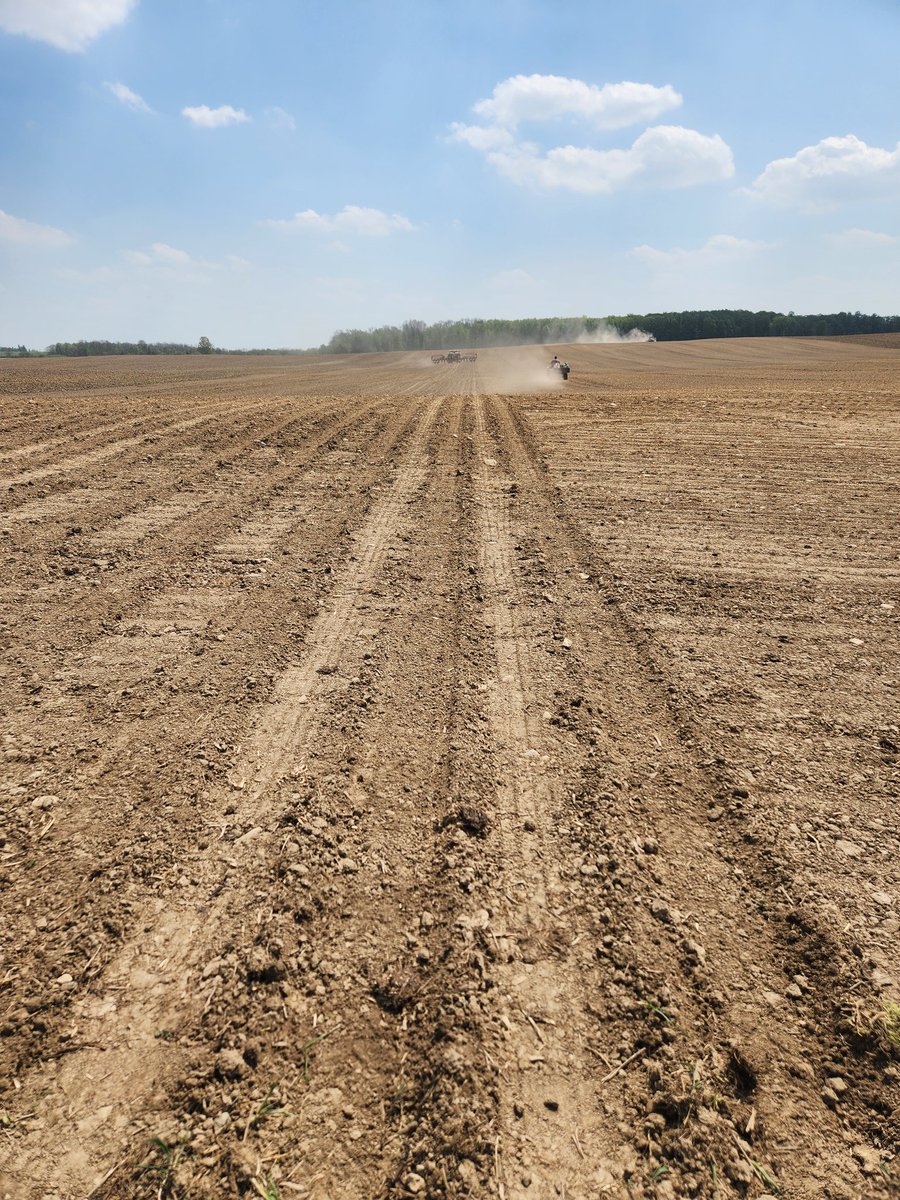 LisaShier1's tweet photo. Just a weekend spent in a field @HORIZON_SEEDS https://t.co/7cXBROG03H