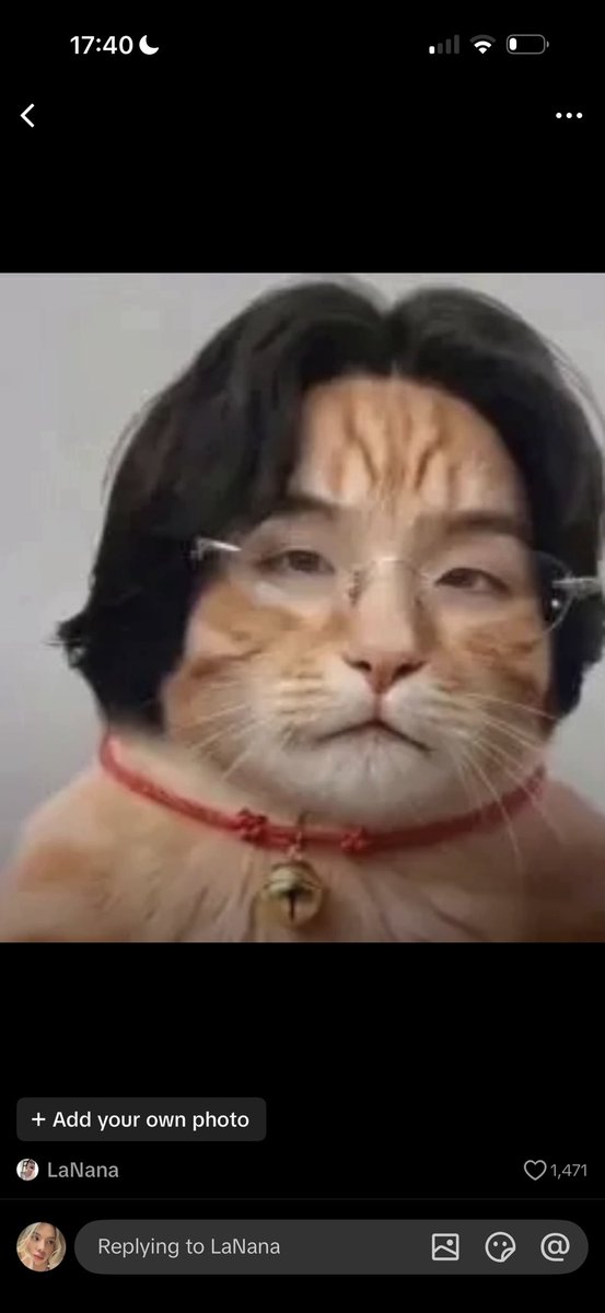 jungkookxharry's tweet photo. entre a los comentarios de un tiktok y JABWKWBWLHWLWBEKENWKNWKSMAKANALAJAOAKQIQKWNWLWJWKWJW https://t.co/kwQOpKFFSx