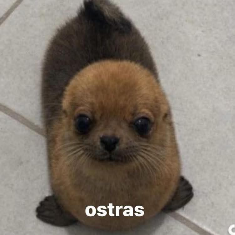 Animalesaprieto's tweet photo. Mi honesta reacción después de mega cagarla en el jale: https://t.co/Ja6Few6YX4