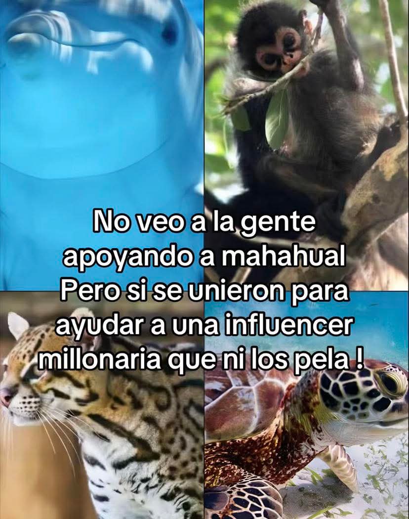 Animalesaprieto's tweet photo. https://t.co/gZq51VXKSt