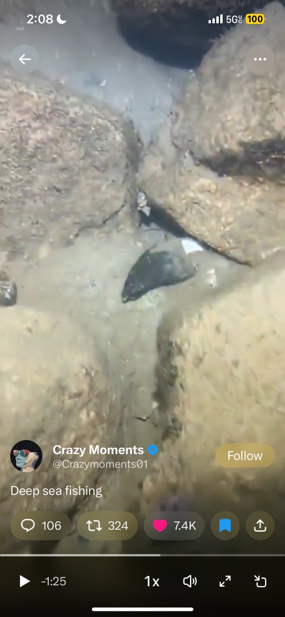 Critica1Me's tweet photo. @Crazymoments01 At the 1:49 timestamp… is that a GIANT shark tooth?!? https://t.co/gOhZwBrBFN