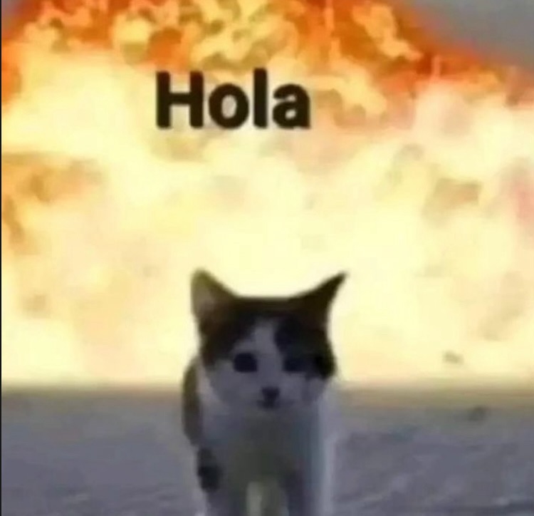 Punch Cat tweet media