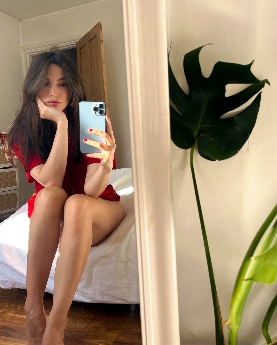 Liz tweet media